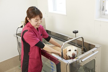 大阪ペピイ動物看護専門学校 インタビュー1