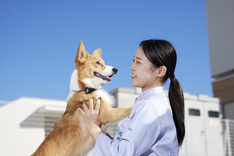 大阪ペピイ動物看護専門学校 の特長 1