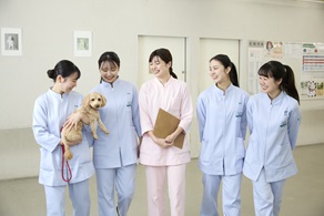 大阪ペピイ動物看護専門学校 の特長 3