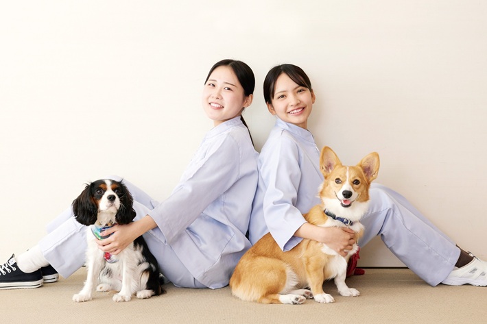 大阪ペピイ動物看護専門学校